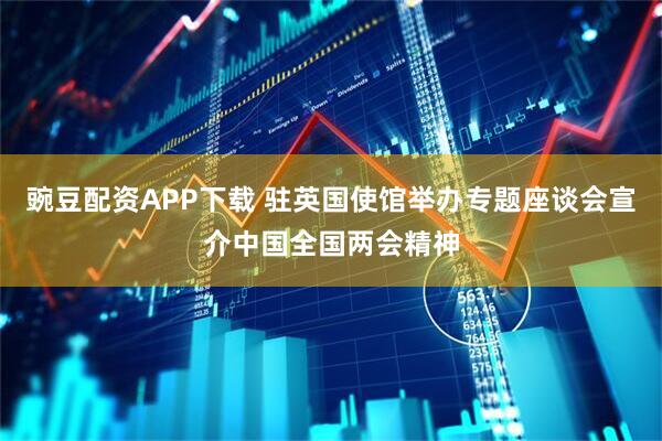 豌豆配资APP下载 驻英国使馆举办专题座谈会宣介中国全国两会精神