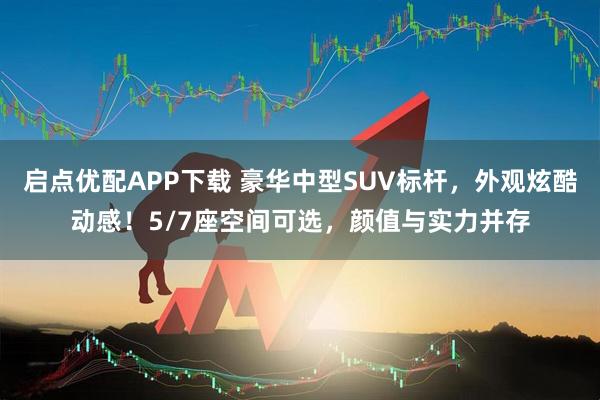 启点优配APP下载 豪华中型SUV标杆，外观炫酷动感！5/7座空间可选，颜值与实力并存