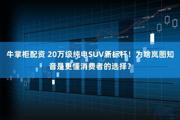 牛掌柜配资 20万级纯电SUV新标杆！为啥岚图知音是更懂消费者的选择？