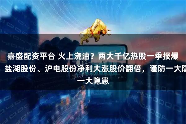 嘉盛配资平台 火上浇油？两大千亿热股一季报爆了，盐湖股份、沪电股份净利大涨股价翻倍，谨防一大隐患